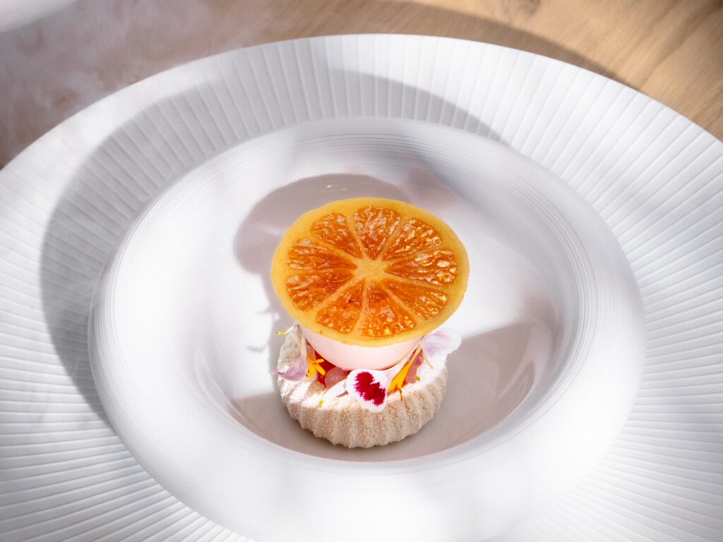 Realistic Citrus Tuille Mold