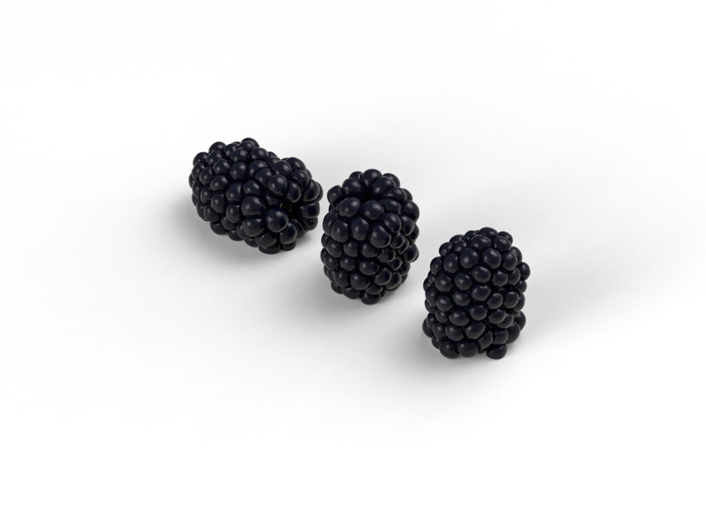 Realistic Blackberry Mold